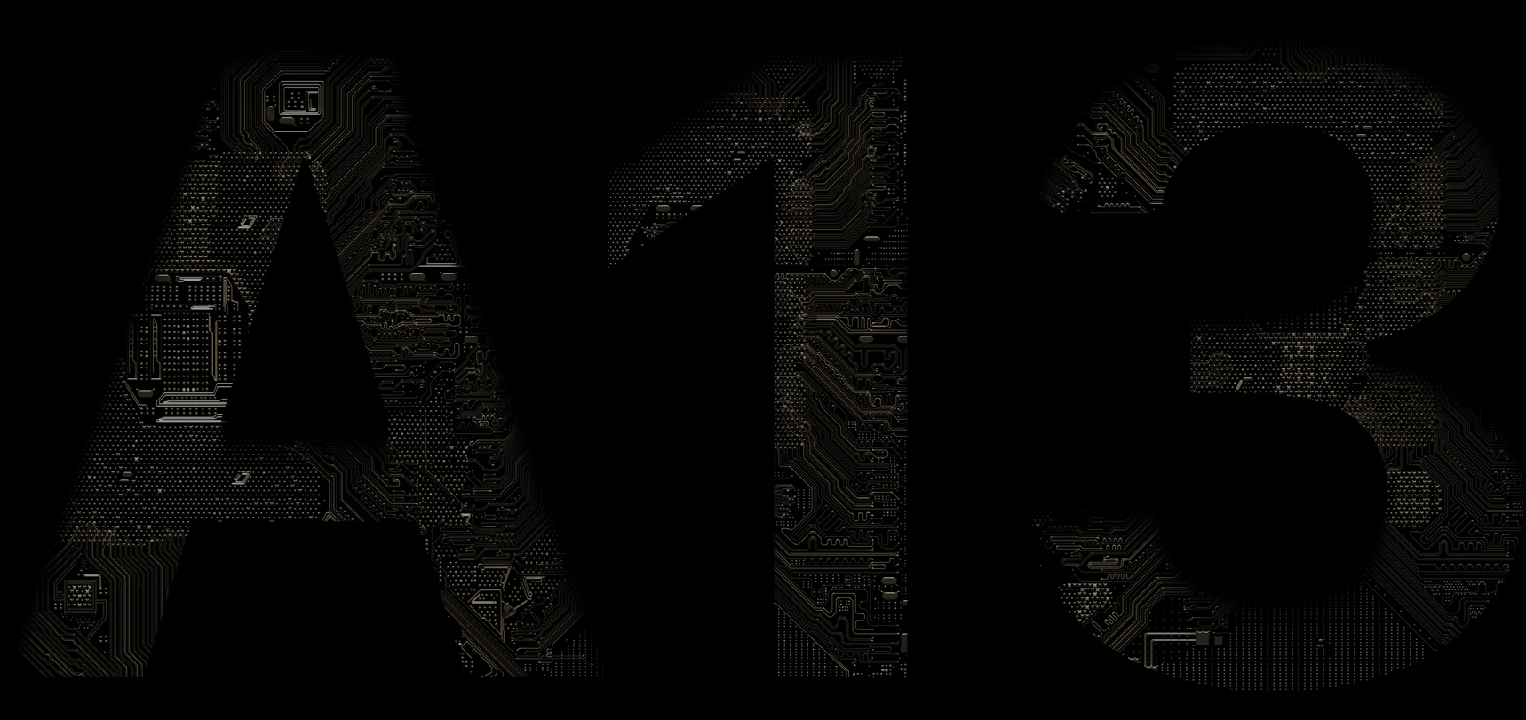 A13 logo image